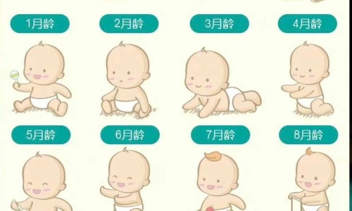 怎样用羊奶做酸奶-自制羊酸奶的功效网 | 自制羊酸奶的步骤和注意事项,羊奶酸奶家常做法